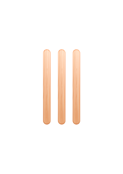 Wooden stirrers 90 mm packed by 12,000